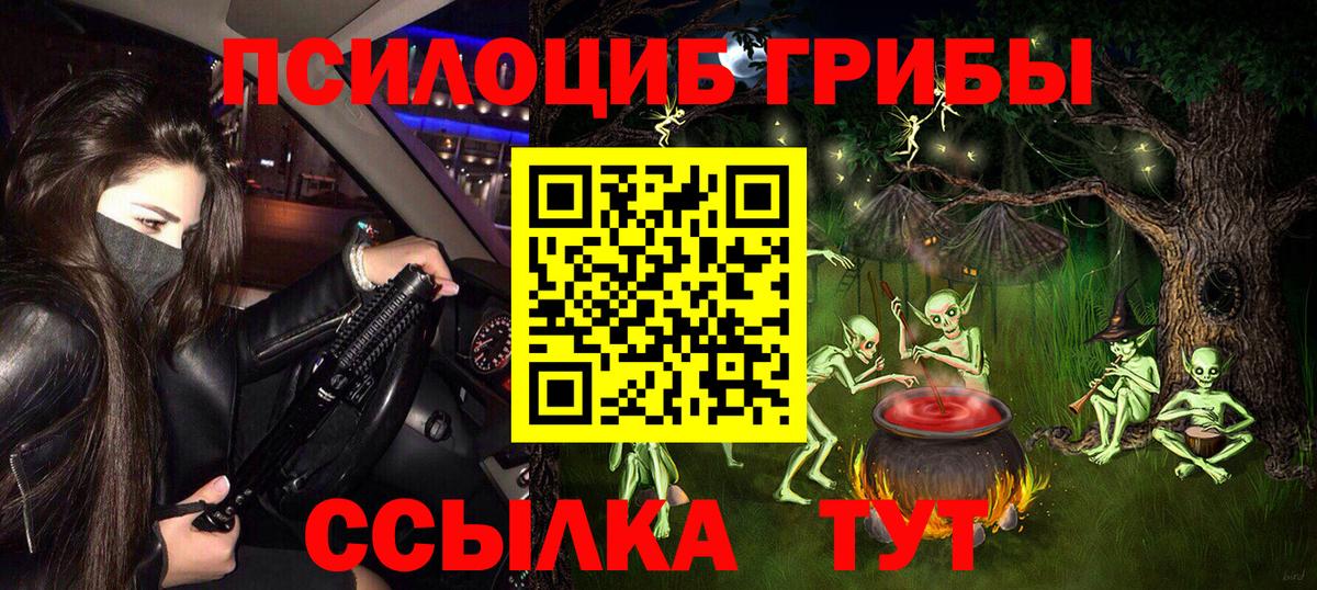 Псилоцибиновые грибы Psilocybine cubensis Новочебоксарск
