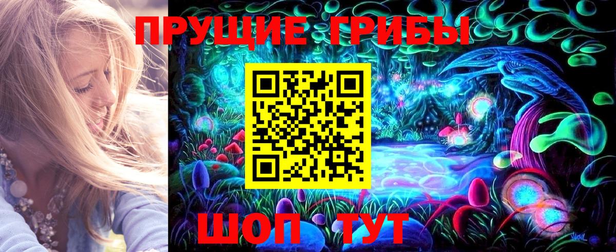 Галлюциногенные грибы GOLDEN TEACHER  Вход с VPN  Галлюциногенные грибы прущие грибы  Новочебоксарск 
